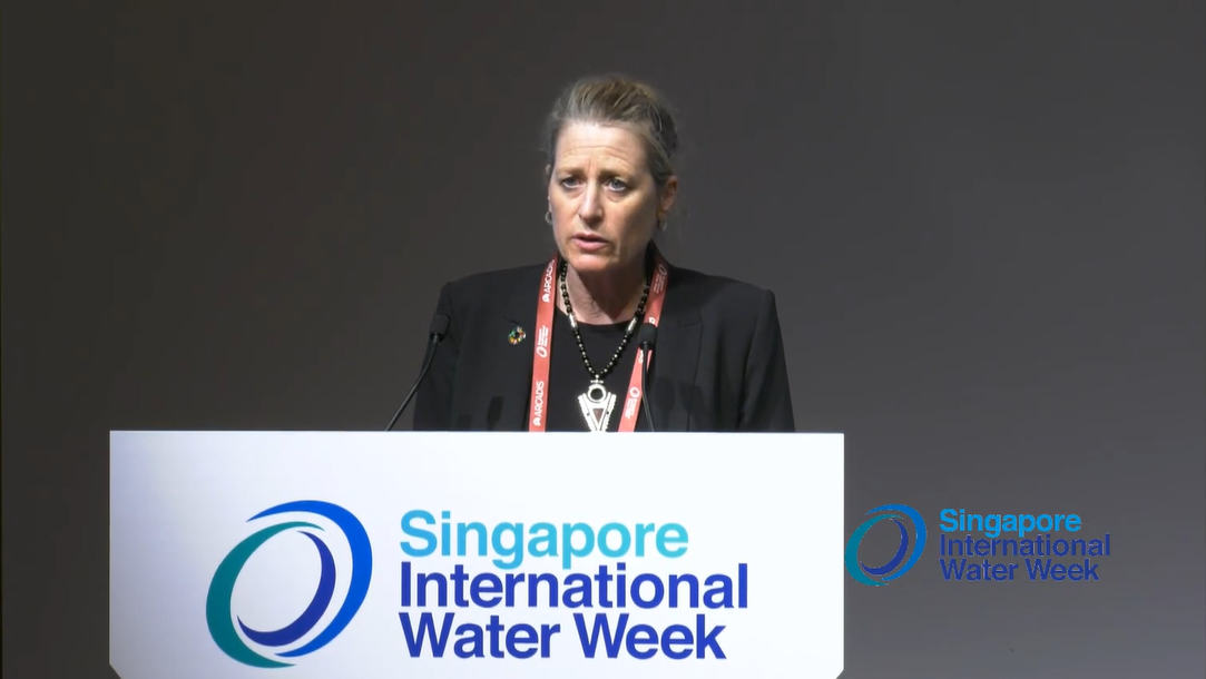 Strengthening Security for a Water Optimized World: Highlight on City Water
